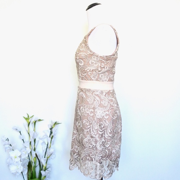 NEW! Dress the Population Ava Dress Champagne Nude Floral Lace V-Neck SZ XS - Picture 3 of 11